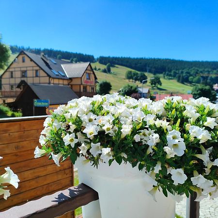 Ski&Spa Zieleniec Дужники Здрой Екстериор снимка